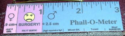 phallometer1